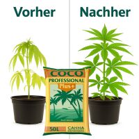 Canna COCO Plus 50 Liter Palette 60 Stück –...