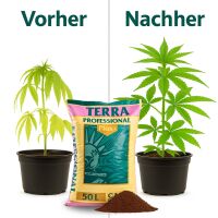 B-WARE Canna Terra PLUS 50 Liter SACK DEFEKT