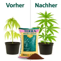 B-WARE Canna Terra PLUS 50 Liter SACK DEFEKT