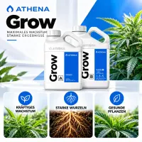Athena Grow A & B Dünger-Set – 2 ×...