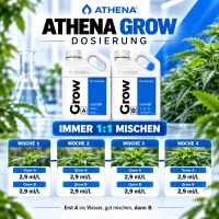 Athena Grow A & B Dünger-Set – 2 × 18,90 Liter (37,80 Liter Gesamtmenge)