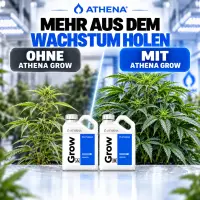 Athena Grow A & B Dünger-Set – 2 × 18,90 Liter (37,80 Liter Gesamtmenge)