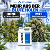 Athena Cleanse Dünger 18,90 Liter
