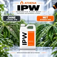Athena IPW 18,90 L – Integrated Plant Wash zur Blattreinigung