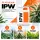 Athena IPW 18,90 L – Integrated Plant Wash zur Blattreinigung
