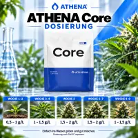 Athena Pro Core Dünger 11,34 KG