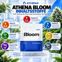 Athena Pro Bloom Dünger 4,53 KG