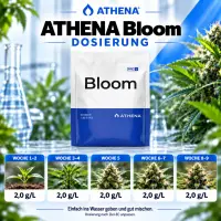 Athena Pro Bloom Dünger 4,53 KG