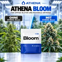 Athena Pro Bloom Dünger 4,53 KG