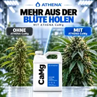 Athena CaMG 18,90 Liter