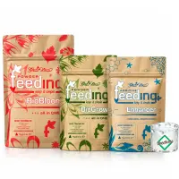 Green House Feeding Bio Starterkit Big - Organischer...