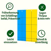 Blautafel & Gelbtafel 40x25 cm je 12 Stück – Insektenfallen Pflanzen
