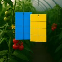 Blautafel & Gelbtafel 40x25 cm je 12 Stück – Insektenfallen Pflanzen