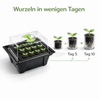 X-Stream 12 Hydro Aero Cloner - Gewächshaus Hydro