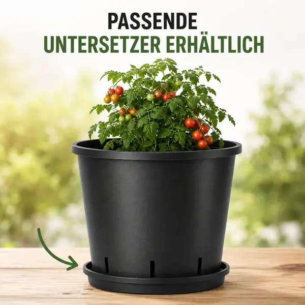küchenfront kaufen Küchenfronten | Küchen & more: | Elektrogeräte und Küchen - Küchen & more: Aromabrenner