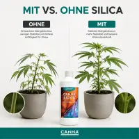 Canna Silica 250 ml - Silizium Dünger