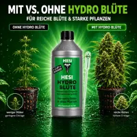 Hesi Hydro-Blüte 10 Liter – Blütedünger Hydroponik