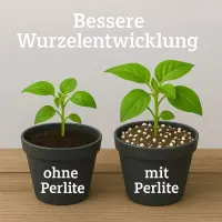 Plagron Perlite 10 Liter – Bodenbelüfter Mineralisch