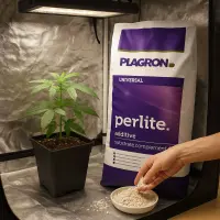 Plagron Perlite 10 Liter – Bodenbelüfter Mineralisch