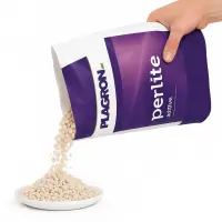Plagron Perlite 10 Liter – Bodenbelüfter Mineralisch