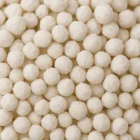 Plagron Perlite 10 Liter – Bodenbelüfter Mineralisch